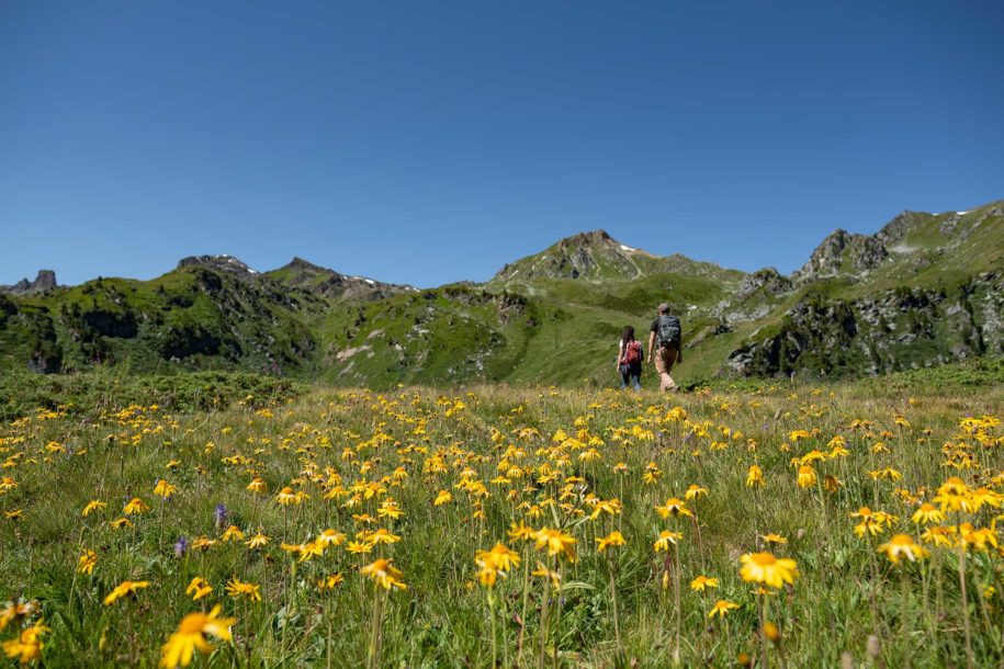 A la découverte du biotope